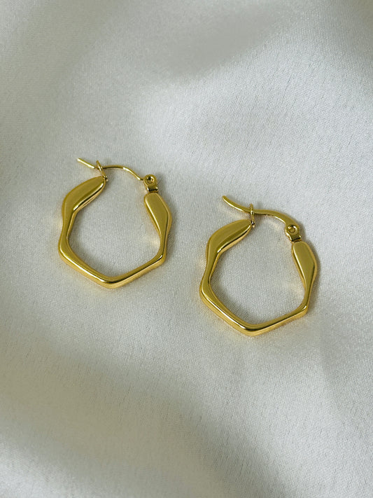 Stylish trendy Hoops Earring